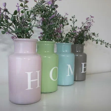 Myseenland Vakantiehuis *